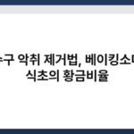 배수구 악취 제거법, 베이킹소다와 식초의 황금비율 2