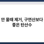 변기 안 물때 제거, 구연산보다 효과 좋은 탄산수 6