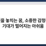 풍선을 놓치는 꿈, 소중한 감정이나 기대가 멀어지는 아쉬움 3