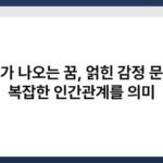 거미가 나오는 꿈, 얽힌 감정 문제와 복잡한 인간관계를 의미 6