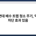 세면대 배수 트랩 청소 주기, 악취 차단 효과 있음 4