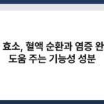 파로 효소, 혈액 순환과 염증 완화에 도움 주는 기능성 성분 6