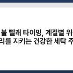 이불 빨래 타이밍, 계절별 위생 관리를 지키는 건강한 세탁 주기 5