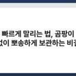 우산 빠르게 말리는 법, 곰팡이 냄새 없이 뽀송하게 보관하는 비결 7