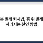 화분 벌레 퇴치법, 흙 위 벌레가 사라지는 천연 방법 5